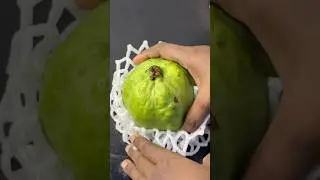 Masala Pyara(Guava) Makha #shorts