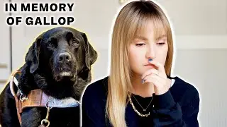Gallop passed away and I’m ready to talk about it… (warning, very emotional!)