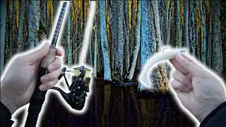 Fishing a FLOODED FOREST for MONSTER FISH (Roanoke River Fishing)