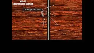 Wellbore stabilizer Sulphonated asphalt#drillingfluids #oilfield #lcm