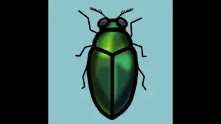 Metallic Wood Boring Beetle