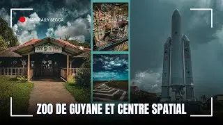 Visite du zoo et du centre spatial guyanais !