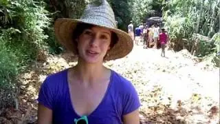 Globe Drifters: The Rafflesia