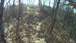 Shenandoah Mountain Trail