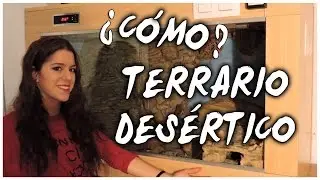 Cómo construir tu terrario desértico o semidesértico
