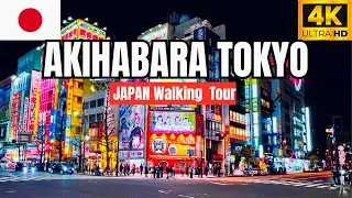 [4K] Akihabara Electric Town at Night in Tokyo Japan 🇯🇵 | Virtual Walking Tour Vlog & Travel Guide