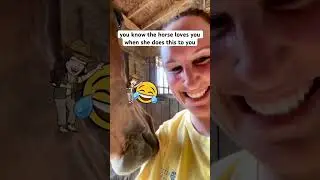 Funniest Horse Does This When She Loves You! 🤣🤣 So Funny! #shorts