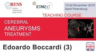 Edoardo Boccardi, &laquo;Flow diverter technologies&raquo;.