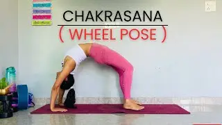 How to do Chakrasana ( Wheel Pose) Detailed Step by Step Tutorial🌻🌸 #chakrasana #backbend #yoga 