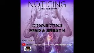 Noticing // Meditation Preparation // Guided Mindfulness Exercise