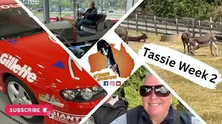 Tasmania Tour Launceston Korker Adventures   HD 1080p