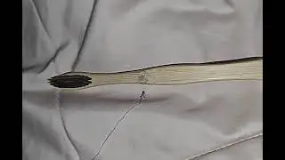 Biodegradable Compostable Bamboo Toothbrush | Available on IndiaMART