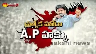 YS Jagan Mohan Reddy Fight for AP Special Status - Watch Exclusive