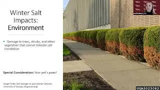 Safe Sidewalks, Clean Water: Smart Salting for Residents