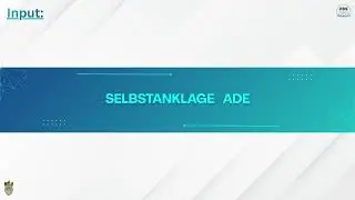 Input: Selbstanklage ADE