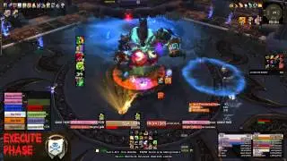 Execute Phase - Jin'rokh Kill 10 Man Normal Protection Warrior Tank POV - Kittyb