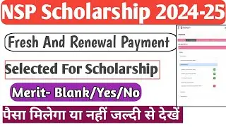 NSP Payment 2024-25 | NSP Fresh And Renewal | Merit List Blank,No | NSP Payment Kab Tak Aayega | NSP