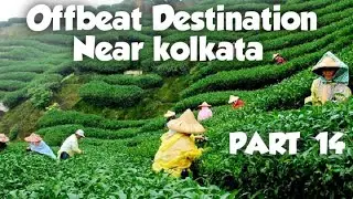 Makaibari Offbeat Destination Near Kolkata||Offbeat Weekends Tour Near Kolkata||TSG TRIPPER BONG