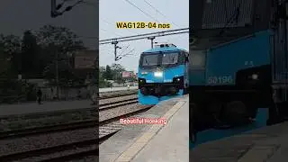WAG-12B Freight Crossing at Full 🤡 Speed | Powerful Honking & Beast Mode Run