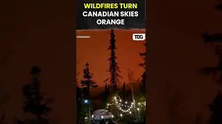 #watch | Wildfires Turn Skies Orange Across Parts of Canada | #shorts #trendingshorts #wildfire