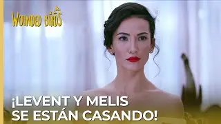¡Levent y Melis se están casando! | Omer Sueños Robados Capítulo 194
