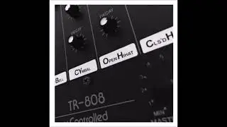 Plant43 &ndash; Internal Ocean
