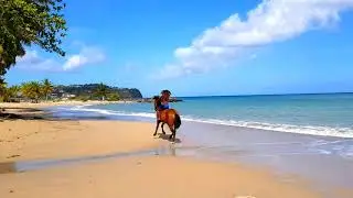 Tropical Island Walk | Ocean Beach Nature | Relaxing | Saint Lucia | Caribbean |