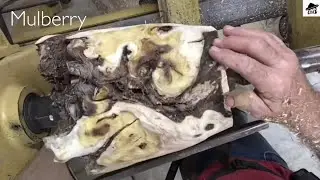 Woodturning - Gnarly Mulberry Burl