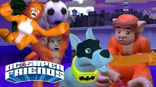 Superhero Animal Videos! | Batcave Goes Dark | DC Super Friends | Cartoons For Kids | Imaginext&reg; ​