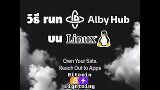 วิธี run Alby Hub on Linux server