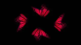 Butterfly - Hologram