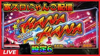 【家スロにゃんこ配信】スターハナハナ‐30【設定6】
