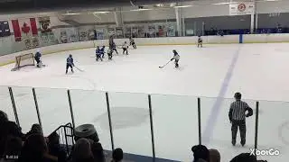 12UAA vs Ice Dogs