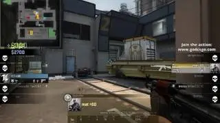 1on4 esl premium cup