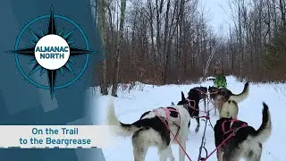 The Trail to Beargrease