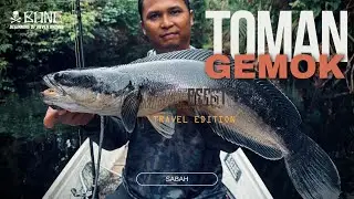 The Blackwater Snakehead Fish Will Surprise You. Bone Combat Beast PE1.5-3