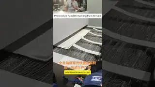 Photovoltaic Panel Dismantling Plant for Sale  #machine #sustainablesolutions