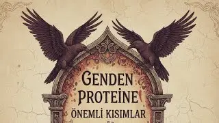 Genden Proteine Tekrar (önemli/kaçırılan) kısımlar #yks2026 