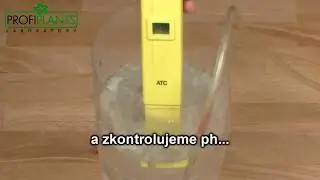 Líhnutí Artemia salina - Žábronožka solná