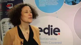 What makes an effective sustainability leader?
