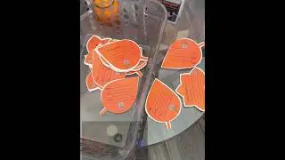 THE GIVING TREEE🧡 Let&rsquo;s Create A Butterfly Effect Around The Community! #suncity #payitforward