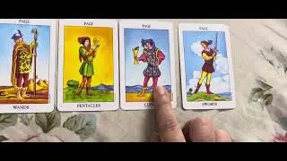 Pages or Pip cards of Tarot .. #pageofcups #pageofswords #pageofwands #tarotscope
