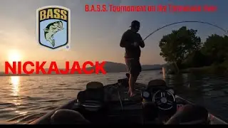 B.A.S.S.  Tournament trail on the Tennessee river Nickajack TOP WATER MADNEES