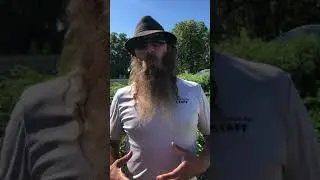 Когда собирать урожай овощей в #огороде!