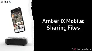 Amber X: Sharing Files