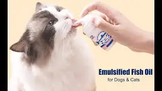 Emulsified Wild Salmon Fish Oil Omega 3 Supplement for Dogs & Cats