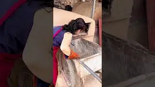 Traditional Bread Baking in a Clay Oven: The Removal Process