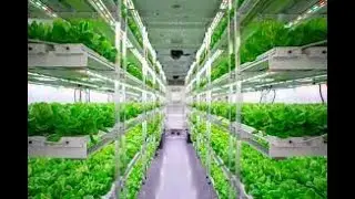 Top 10 Cutting-Edge Agriculture Technologies to Watch in 2024