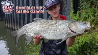 VISSEN OP GROTE ROOFBLEI MET DE SALMO SLIDER mini! Snoeken Snoek Baars Baarzen Snoekbaarzen
