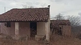 ENTREI NA CASA ANTIGA MUITOS MOVEIS ANTIGOS LA DENTRO